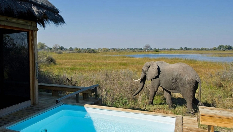 Vumbura Plains Camp - Terrasse am Zelt